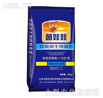 12�|ÿ��΢�������-������-��������