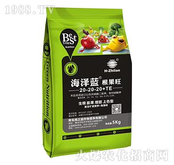 ������20-20-20