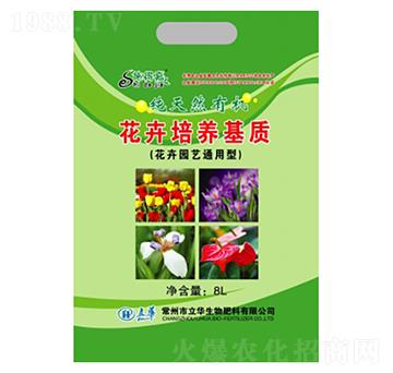 �������B(y��ng)���|(zh��)-���A����