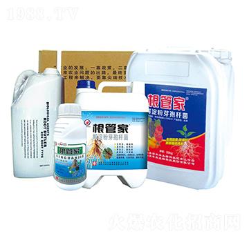 �����ѿ�ߗU��-���ܼ�