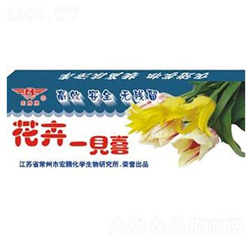 ����һҊ(ji��n)ϲ-���v����