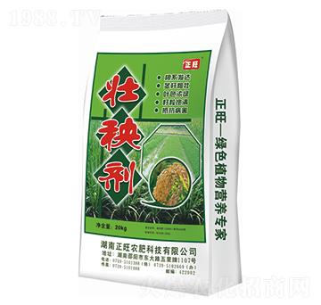 ���턩-�����r��