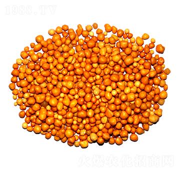 ����n�w����ጷ�15-