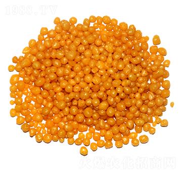 ��(sh��)֬���¶��@���w����1