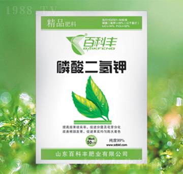 ��������-�ٿ��S