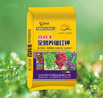 ȫ�I�B(y��ng)�߼t�-�ٿ��S