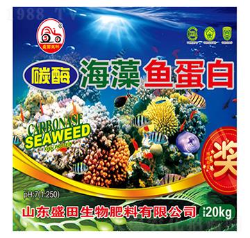 ̼ø�����~(y��)����-ʢ����