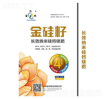 �LЧ�{�׹��}�V��-�����-����ʘI(y��)