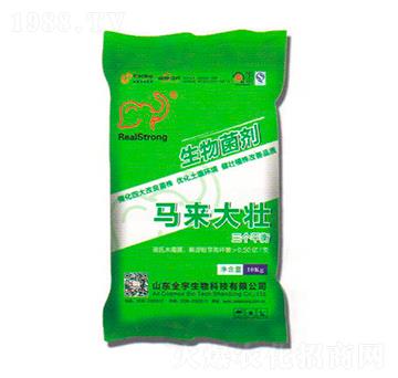 �������-�R�����-ȫ������