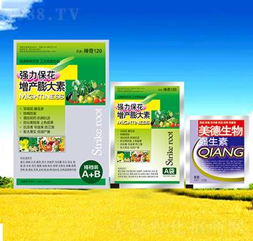 �������a(ch��n)�����-������