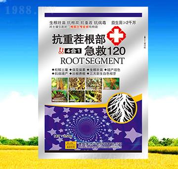 ���ز��������120-