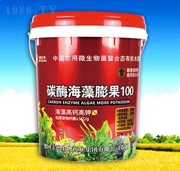 ̼ø�������100-��