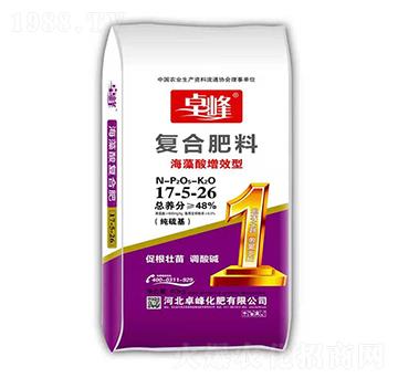 ��������Ч�͏ͺϷ���1