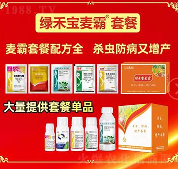 �G�̌������ײ�-�A�S�r(n��ng)�I(y��)