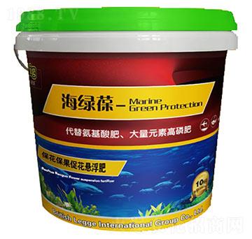 ���������ٻ��Ҹ���-���G��-�|���S