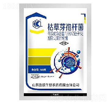 1000�|���ӿ˿ݲ�ѿ�ߗU���ɝ��Էۄ�-��������