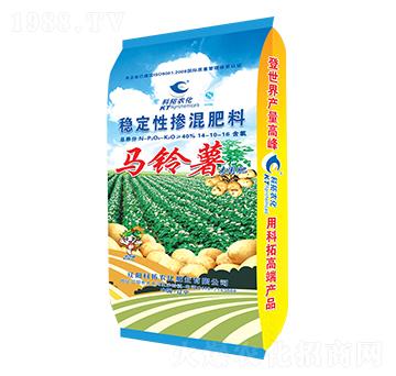 �R��팣(zhu��n)�÷�(w��n)���ԓ����