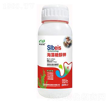 �����Ǵ��-ʩ��ɭ-��ɭ��