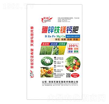 ���\�F�V�}��-���