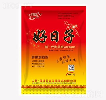 ��һ��������_ʩ�ι��-������-���