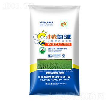 С�������ͺϷ���-�����t