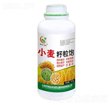 С�������-������(y��u)��