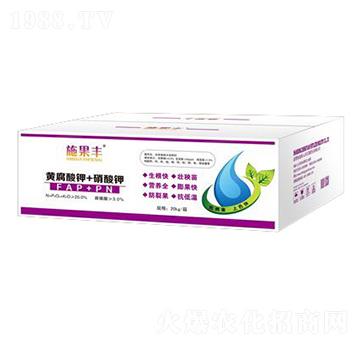 �S�����+�����-ʩ��