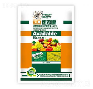 �M����-�S�ϴ�-�ƺ�(li��n)