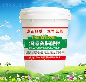 �����S�����-ֲʥ-��