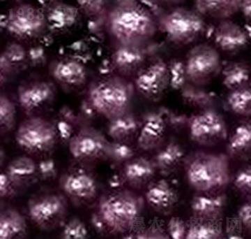 ��֬�ЙC(j��)��-�����S