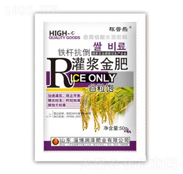 �F�U�������{���-����