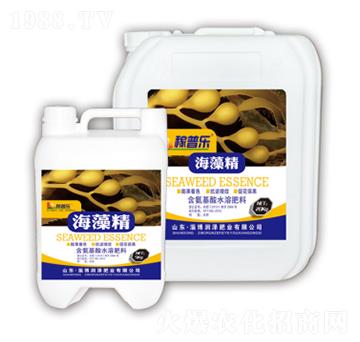 ���徫-���՘�-���ɷ�