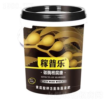 ̼ø������-���՘�-��