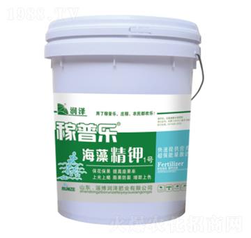 ���徫�1̖-���՘�-