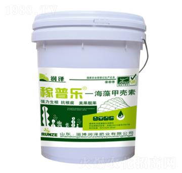 ����ך���-���՘�-��