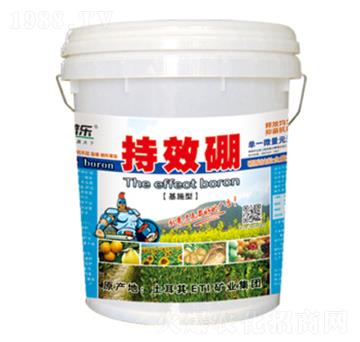 ��Ч���w��-���՘�-��