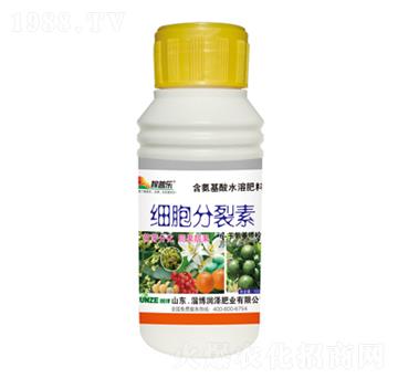 ��(x��)��������-���՘�-��