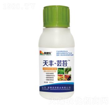 ���S���|̦-���՘�-��