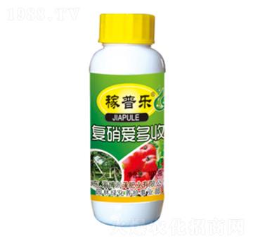 ��(f��)���۶���-���՘�-��