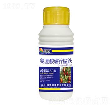 ���������\�i�F-���՘�