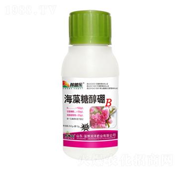 �����Ǵ���-���՘�-���ɷʘI(y��)