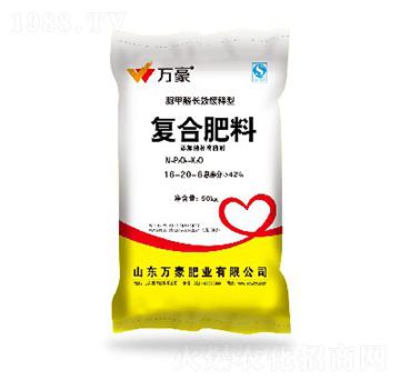 �ͺϷ���16-20-6