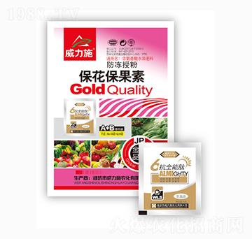 ����������-����ʩ