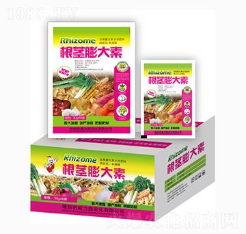 ���o�����-����ʩ