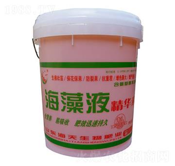 ���徫�AҺ-��������