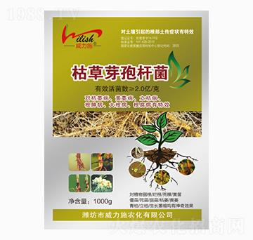 �ݲ�ѿ�ߗU��-����ʩ