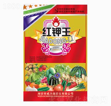 �t���4kg-����ʩ