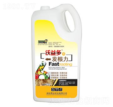 �l(f��)����-̩�_�r(n��ng)��