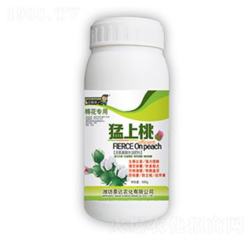 ������-̩�_�r(n��ng)��