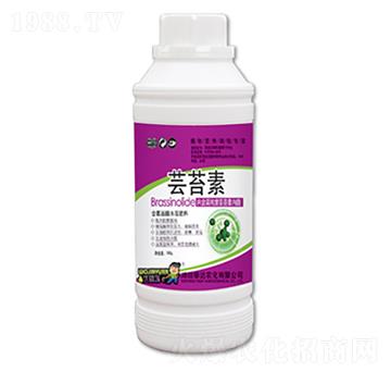 �|̦��-̩�_�r(n��ng)��